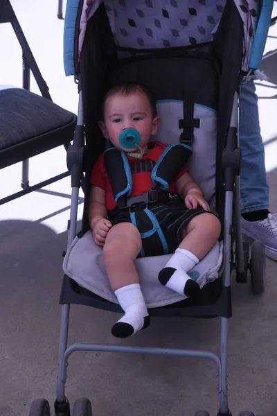 DSC_1998 (Large).JPG